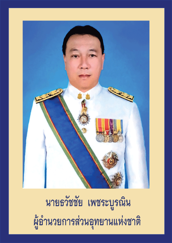 Twatchai3