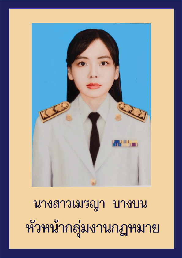 meraya lawgroup